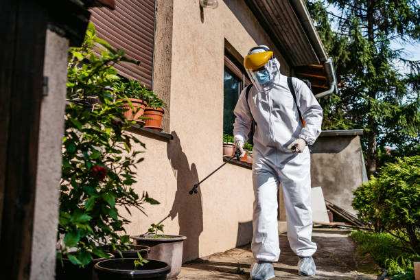 Best Bed Bug Extermination  in Woodbine, IA