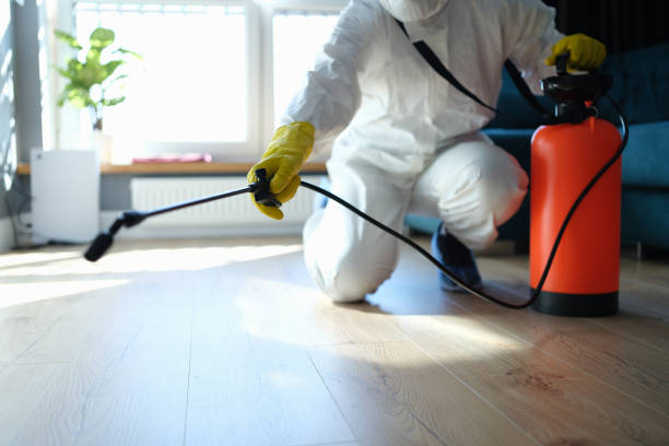 Best Affordable Pest Control Services  in Woodbine, IA