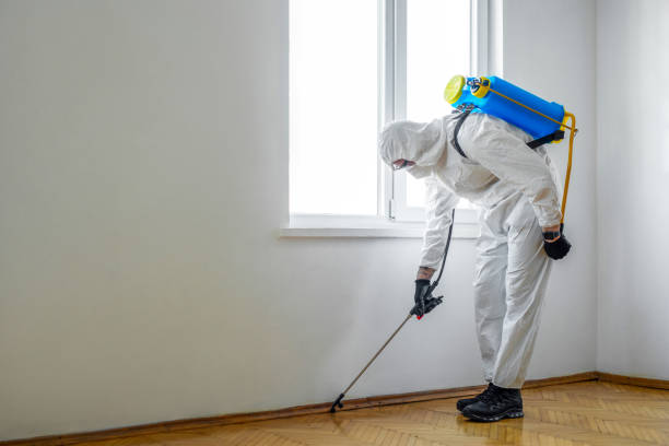 Best Emergency Pest Control  in Woodbine, IA