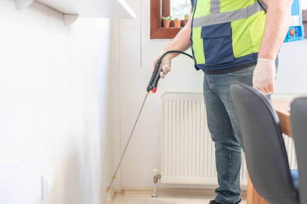 Best Pest Removal Services  in Woodbine, IA