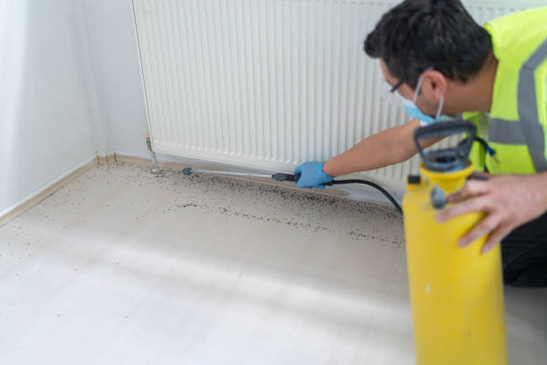Reliable Woodbine, IA Pest Control Solutions